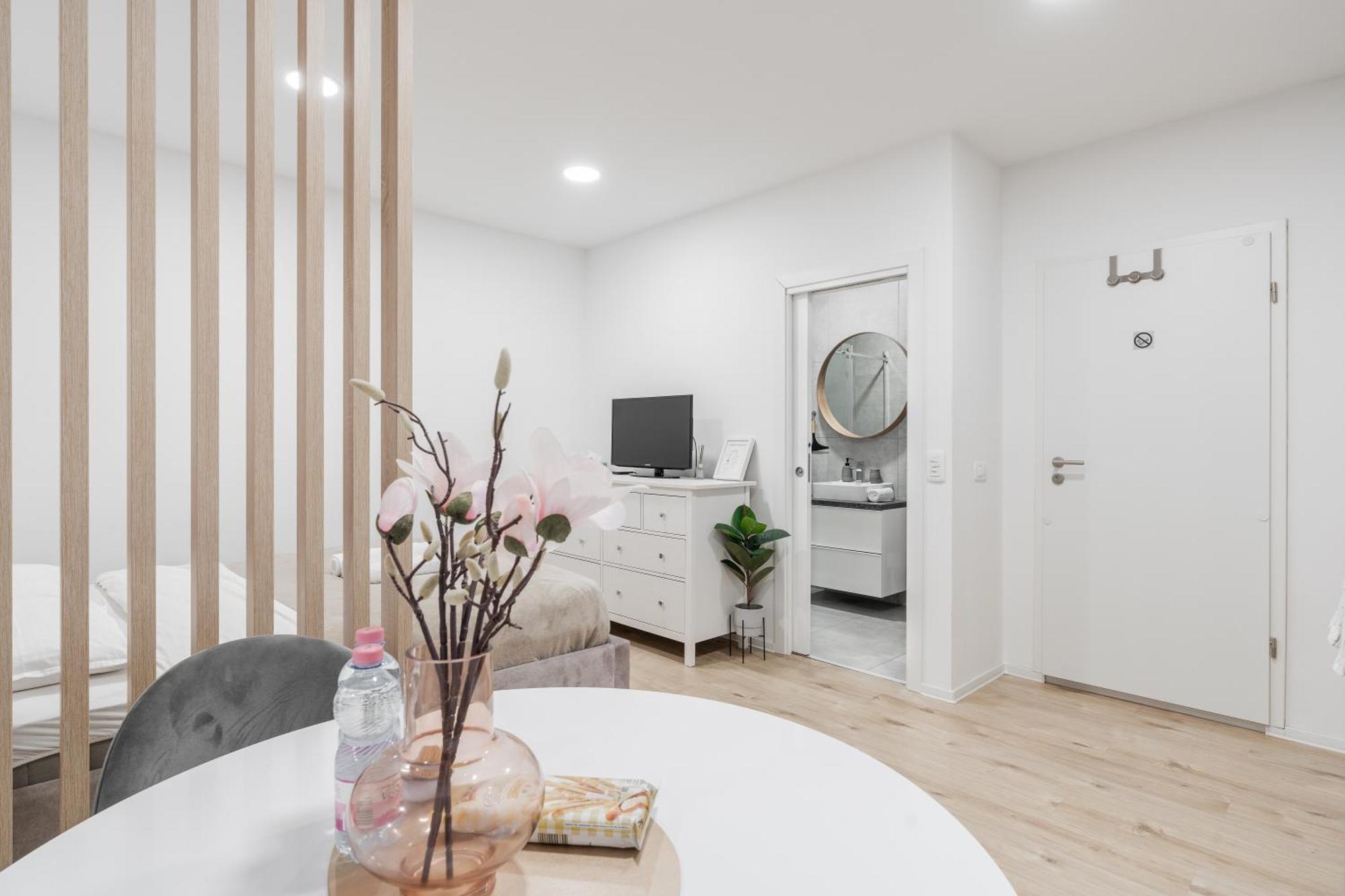 לובליאנה Classy & Cozy Apartment מראה חיצוני תמונה